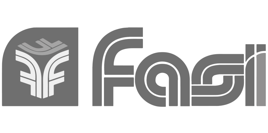 2. Fasi 2. Fasi